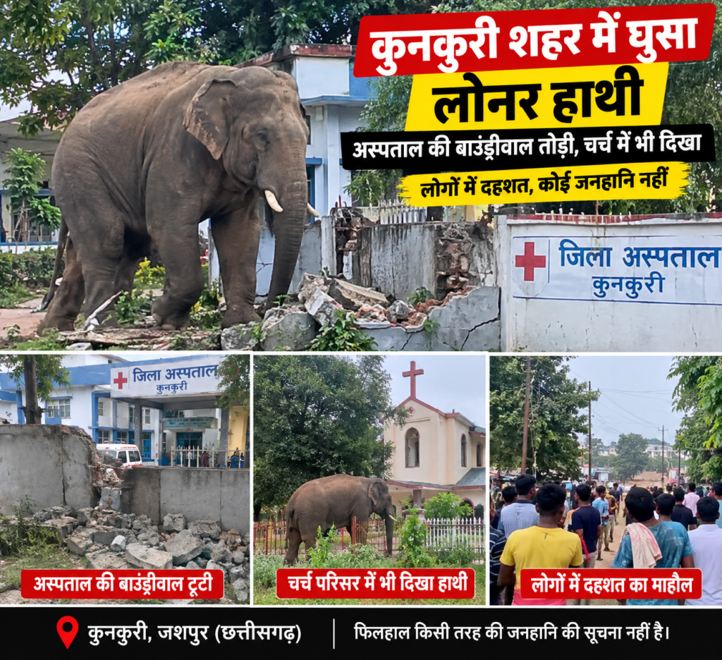 kunkuri shahar mein ghusa loner hathi